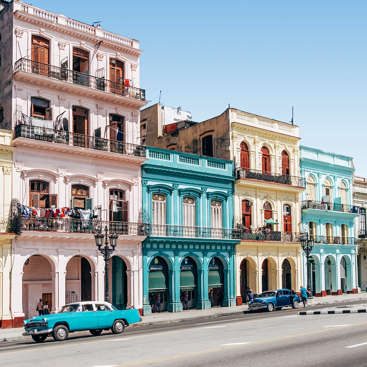 Cuban Black Beans (12 Pack)